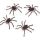 Tarantule